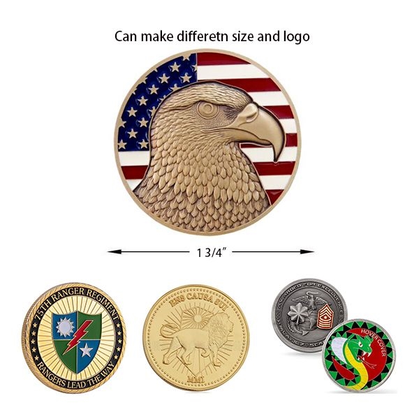 AIN1487 Challenge Coin