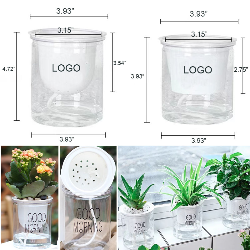 AIAZE301 / Automatic water-absorbing flowerpot transparent 